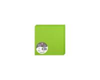 Paquet de 25 cartes pliées Pollen 135x135mm 210g/m² - Vert menthe