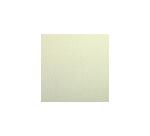 Clairefontaine Etival Colour Paper - A3 - 160gsm - 25 Sheets - Almond Green