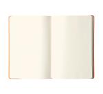 Webnotebook Rhodia A5 96 Blatt dot/punktkariert 90g - Orange