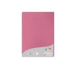 Feuille Pollen 210 x 297 mm 160 g/m2 - Etui de 50
