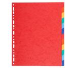 Div Forever Divider A4+ 220g 12P Vivid - Assorted colours