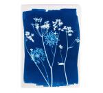 Cyanotype, Carnet cousu fil A5 14,8x21 cm, 64 pages, ligné, ass.