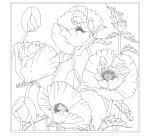 Carré 100% soie - 90x90cm Pavot - Blanc