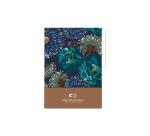 K3 Kenzo, Set of 3 tabbed folders - Multicolour