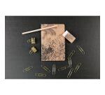 Le cerisier blanc, Kit de papeterie contenant un carnet 11x17 cm 64 pages lignées, un crayon de papier, 2 pinces doubles-clip, 10 trombones et une gomme
