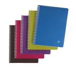 Linicolor, Wirebound notebook 17x22cm 50 sheets Seyes assorted - Assortment
