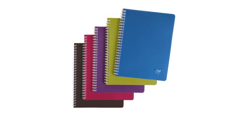 Cahier reliure intégrale Linciolor INTENSIVE 17x22cm 100 pages grands carreaux couverture plastique polypropyène rainuré Couleur aléatoire - Assortis