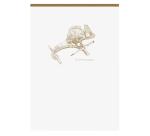 Bloc entoilé en-tête Flying Spirit White A5 140 pages détachables ligné motifs assortis papier ivoire 90g - Blanc