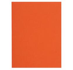 Paquete de 100 Subcarpetas Exacompta Flash 220 g/m2