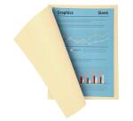 Aktendeckel A4 SUPER 210 24x32cm, Packung mit 100 Stück