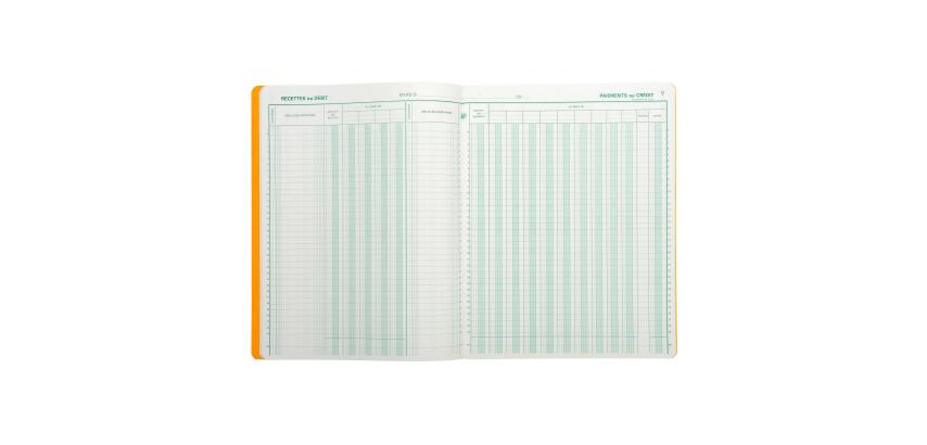 Piqûre 32x25 Journal de caisse ou banque 9 débit - 4 crédit 33 lignes 80 pages - Couleurs assorties