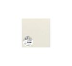 Natura 100% gerecycled, Pak van 25 enkelvoudige kaarten Pollen, 160x160mm, 210gm2 - Natuurkleur