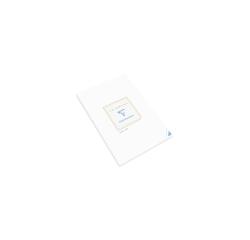 Bloc de Correspondance Triomphe 50 Feuilles Lignées Blanches A5-14,8x21 cm - 90g/m2 - Blanc