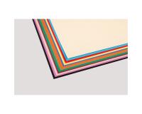 Tulipe rame 12F 24x32cm 160g - Assortiment