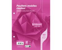 Feuillets mobiles sous film 7000 17x22 cm 100 pages perforées 2 trous grands carreaux 80 g