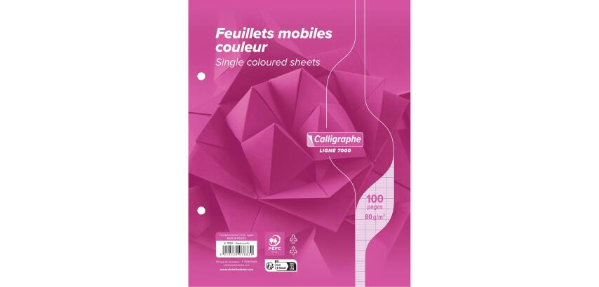 Clairefontaine Loose-Leaf Sheets, Ligne 7000, Seyes, 17x22cm 80g, 50 Sheets