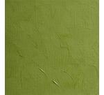 Peinture à l'huile extra-fine tube 200ml - Vert cinabre