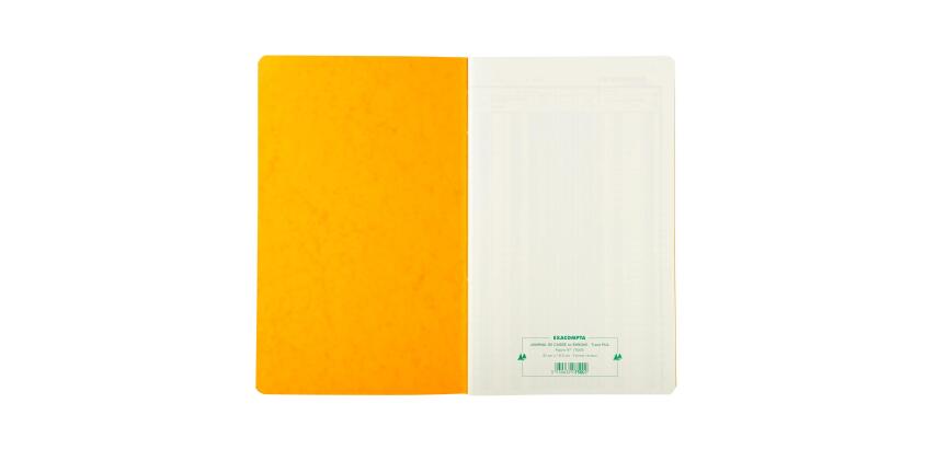 Piqûre 32x19,5cm Journal de caisse ou banque 5 débits - 5 crédits 31 lignes 80 pages - Couleurs assorties