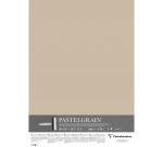 PastelGrain paquet 5F 50x70cm 360g - Sable