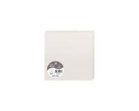 Paquet de 25 cartes pliées Pollen 160x160mm 210g/m2