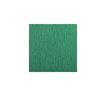 Etival Color paquet 25F A3 160g - Vert foncé