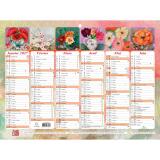 Calendrier semestriel Sophie Adde avec illustrations 29,5 x 22 cm Semestriel 2027 - Visuel