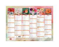 Calendrier semestriel Sophie Adde avec illustrations 29,5 x 22 cm Semestriel 2027 - Visuel
