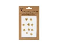 FLEURS SÉCHÉES PRÉSSÉES, Pochette de 10 pièces - Jaune