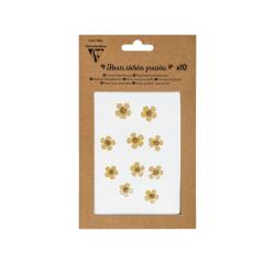 GEPREESTE DROGE BLOEMEN, Set van 10 stuks - Geel