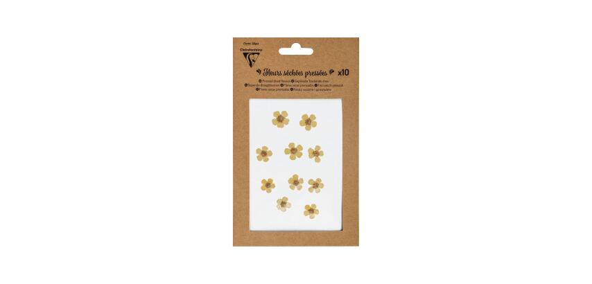 GEPREESTE DROGE BLOEMEN, Set van 10 stuks - Geel
