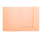 Pk 50 Folders SUPER 210 2 Flap