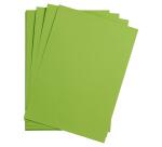 Maya rame 25F A3 185g - Vert mousse