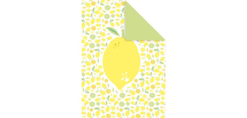DECORATIV', Paquet de 25 feuilles 160g/m2 au format 21x29,7cm - Fraîcheur citron 3 - Multicolore
