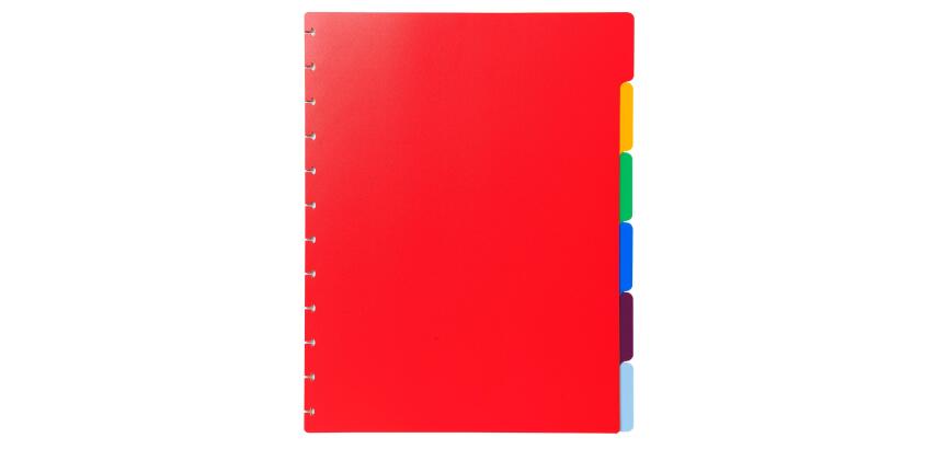 Dividers 6 Pt Removable Display Book - Assorted colours