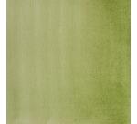 Aquarelle extra-fine demi-godet - Vert de Hooker