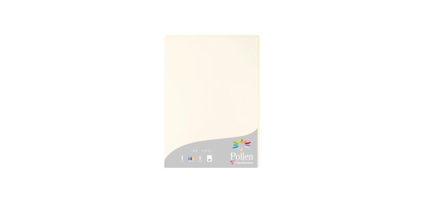 Feuille Pollen 210 x 297 mm 210 g/m2 Blanc naturel - Etui de 25