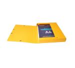 Archivbox Exabox, Rückenbreite 40mm, Rückenetikett, Colorspan-Karton 600g, Scotten, 25x33cm für DIN A4