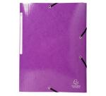 Exacompta Iderama Elasticated 3-Flap Folder