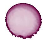 Alkoholtinte 20ml, Bordeaux - Bordeaux