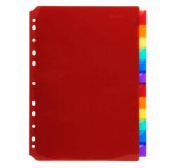 Tabbladen in Doorzichtige PP met neutrale tabs in etikettenhouder - 12 tabs - A4 - Geassorteerd