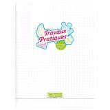 Cahier Travaux Pratiques piqué 8000 POLYPRO 24x32 cm 192 pages grands carreaux + uni 90 g - Incolore
