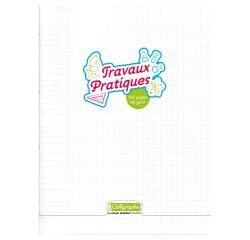 Cahier Travaux Pratiques piqué 8000 POLYPRO 24x32 cm 192 pages grands carreaux + uni 90 g - Incolore