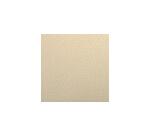 Etival Color paquet 25F A3 160g - Ivoire