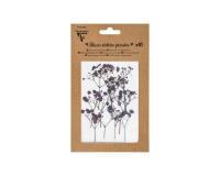 FLEURS SÉCHÉES PRÉSSÉES, Pochette de 10 pièces - Lavande