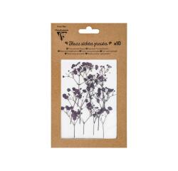 GEDROOGDE GEPRANGDE BLOEMEN, Zakje van 10 stuks - Lavendel