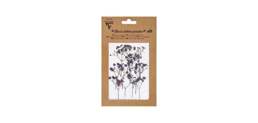 FLEURS SÉCHÉES PRÉSSÉES, Pochette de 10 pièces - Lavande