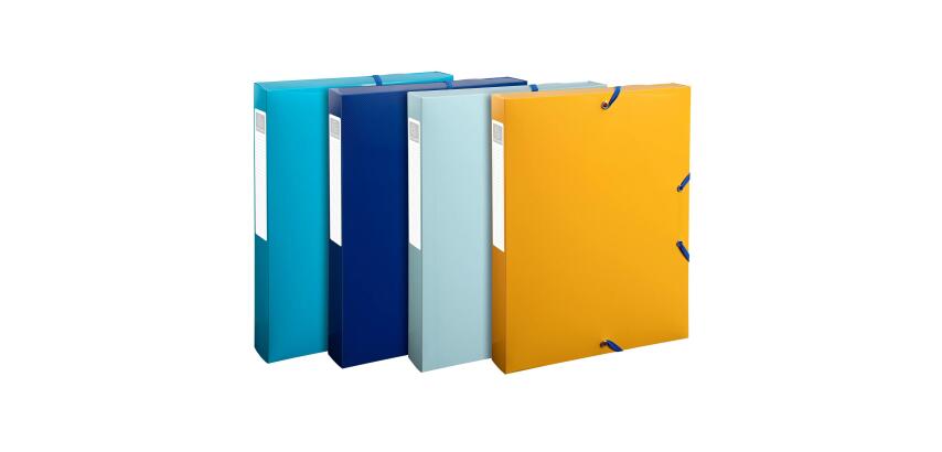 Bee Blue Box File 40mm spine PP A4 - Assorted colours