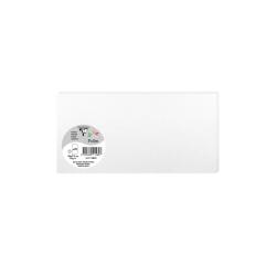 Paquet de 25 cartes simples Pollen 106x213mm 210g/m²