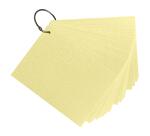 Paquet de 50 Flashcards sous film + anneau - bristol dots perforé - Format A6