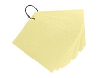 Paquet de 50 Flashcards sous film + anneau - bristol dots perforé - Format A6